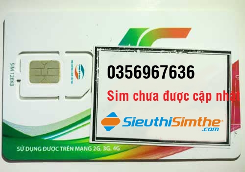 Sim 0964879096