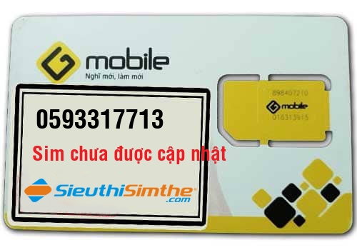 Sim 0964879096