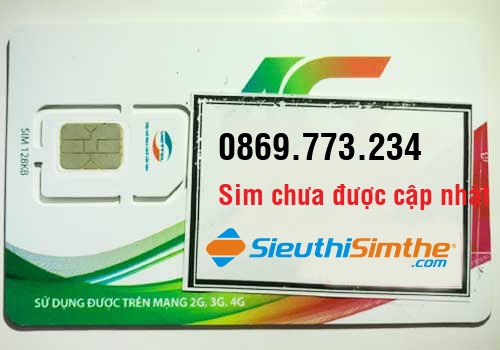 Sim 0964879096
