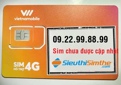 Sim 0964879096