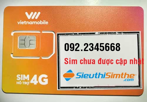 Sim 0964879096