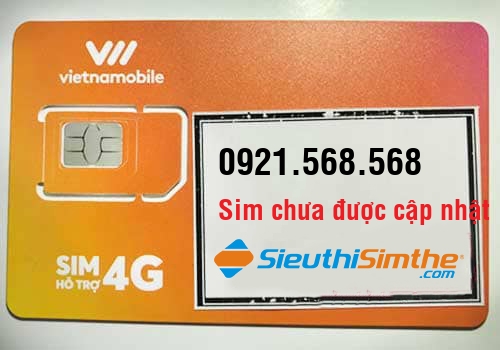 Sim 0964879096