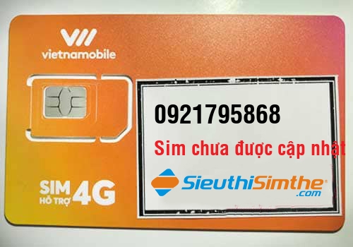Sim 0964879096