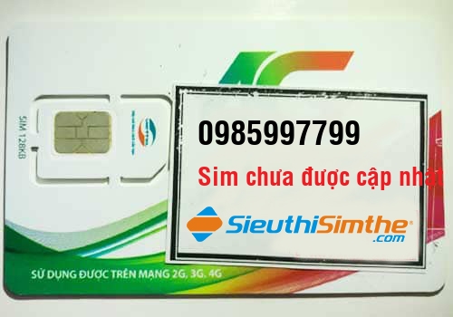 Sim 0964879096