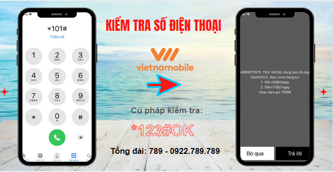 Kiểm tra số điện thoại Vietnamobile