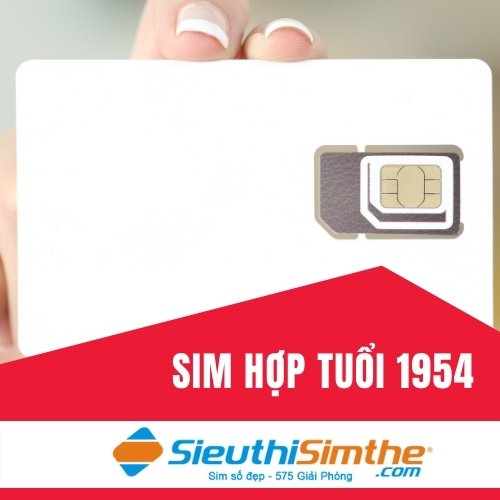 Sim phong thủy hợp tuổi 1954